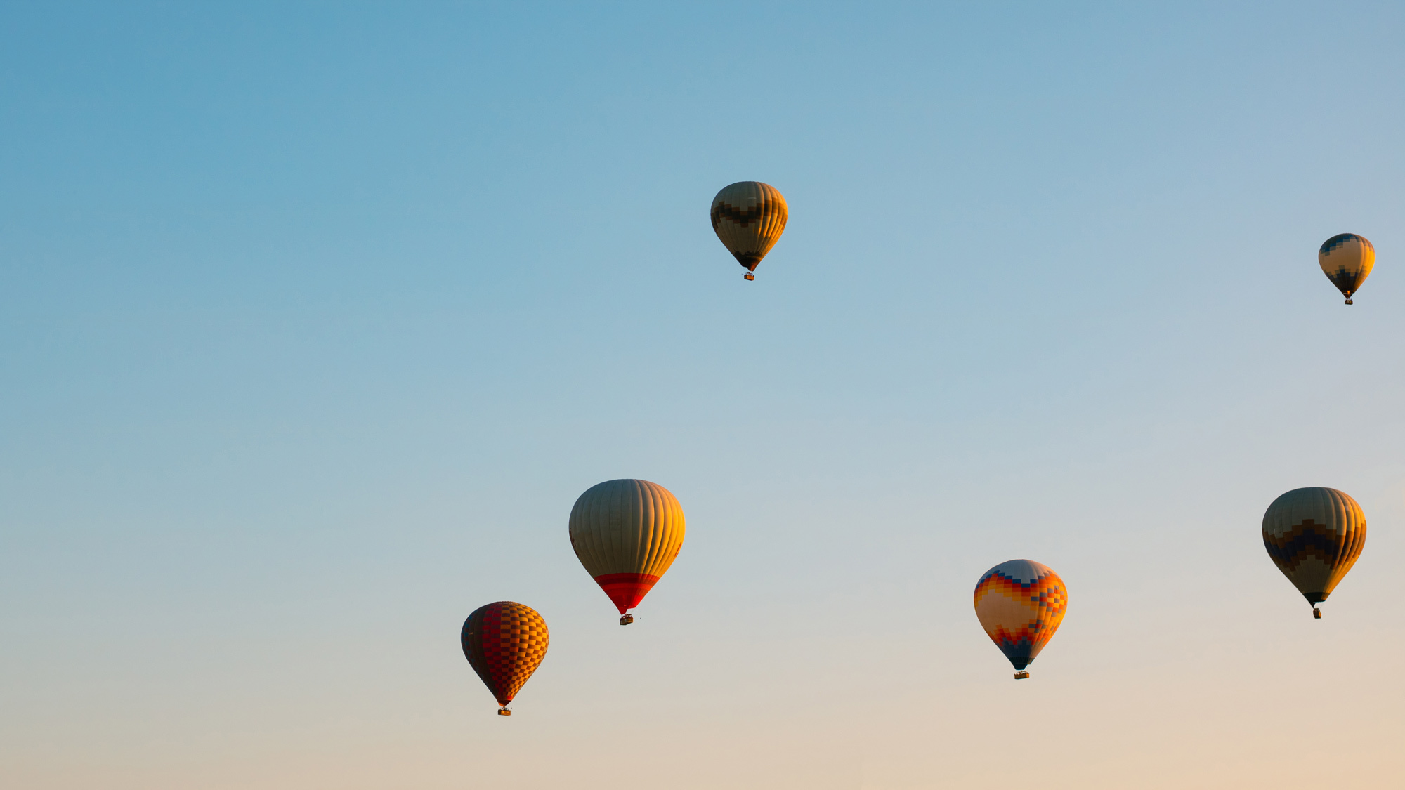 Hot air balloons taking off.