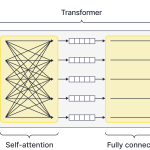 Each individual transformer layer (gray box in Figure 2) consists of a self-attention layer (in which the embeddings interact with one another) and a set of parallel fully connected network (in which the embeddings a processed individually)